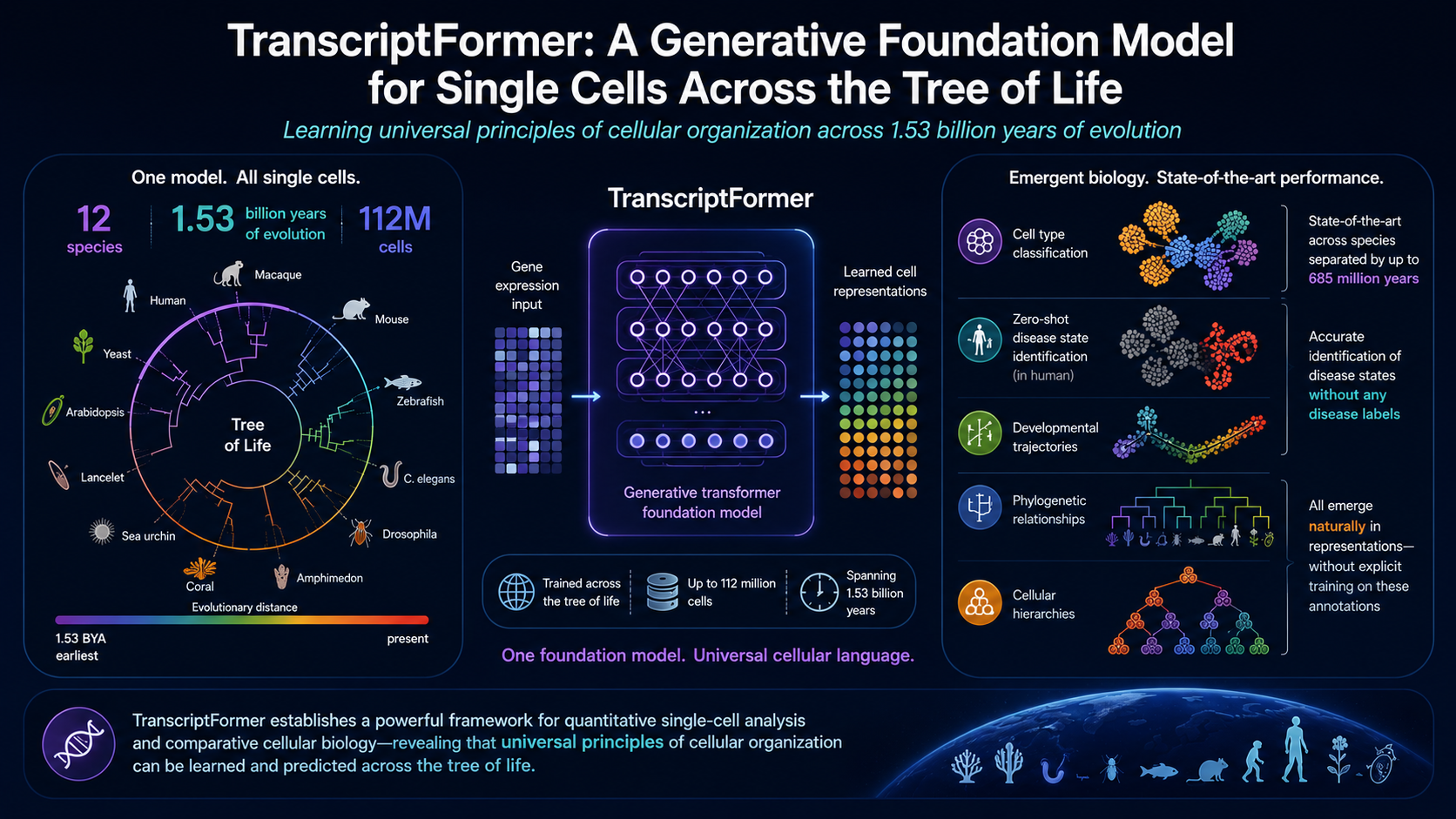 TranscriptFormer